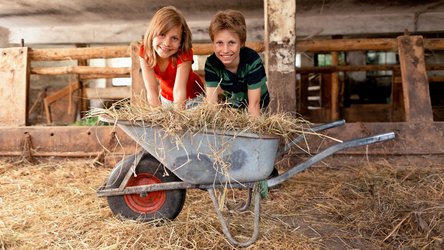 Neues BZL-Heft: Der Bauernhof als Lern- und Erfahrungsort